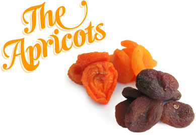 Apricots