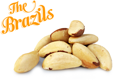 Brazil nuts