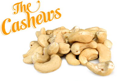 Cashews