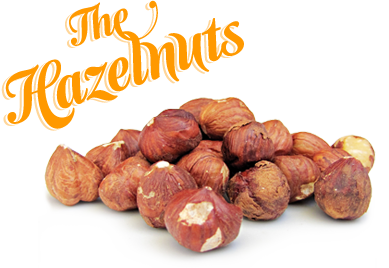 Hazelnuts