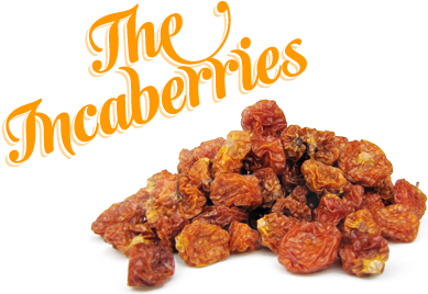 incaberries.png