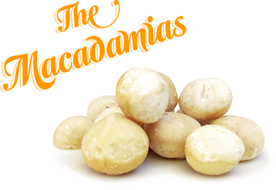 Macadamias