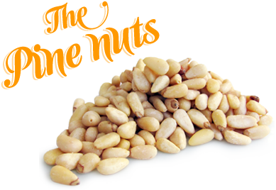 Pine nuts